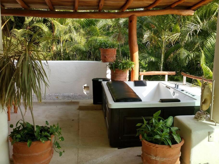 Villa Ixtapa Zihuatanejo Alegria Y Familia *