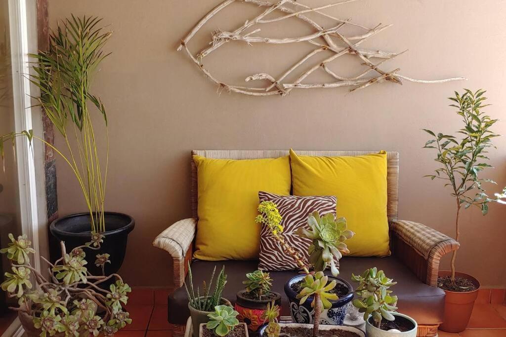 Olas Sunset And Oceanfront Paradise Apartment *