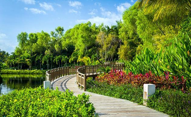 Vidanta Grand Mayan Palace Hotel *
