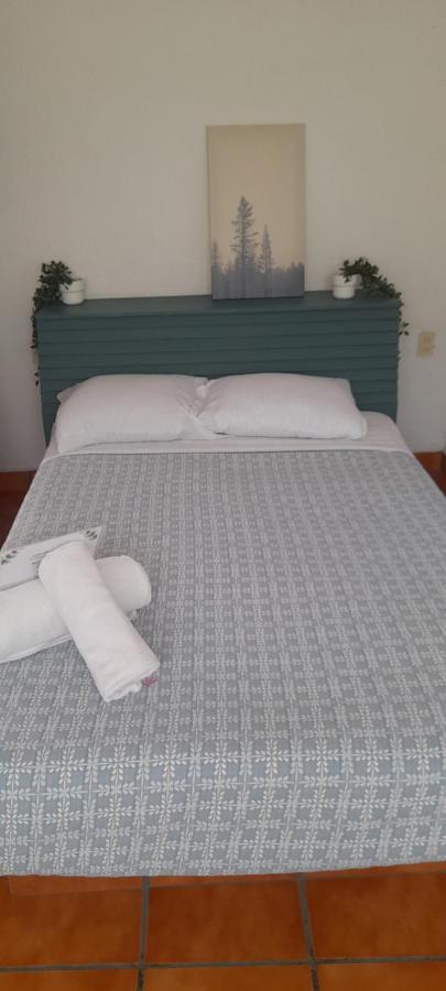 Casa Sauces Homestay