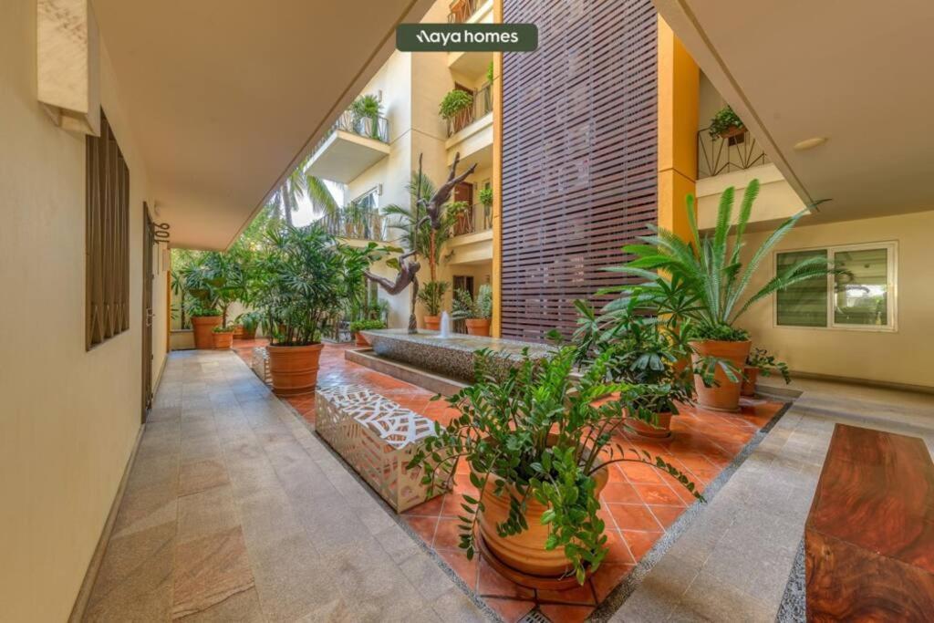 Chic W/rooftop Pool - Ocean View - King Bed Apartment Puerto Vallarta