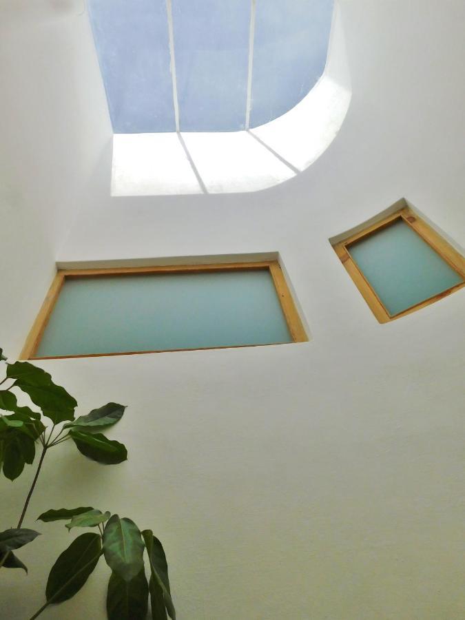 La Casa De Aves - Architect's House/ Amazing View & Garden Apartment