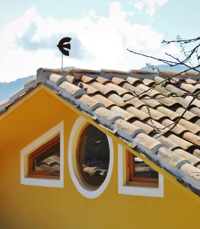 La Casa De Aves - Architect's House/ Amazing View & Garden Apartment San Cristobal de las Casas