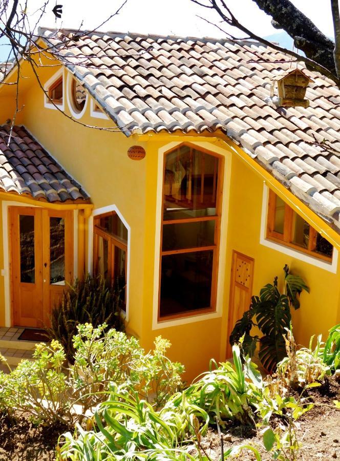 Apartment La Casa De Aves - Architect's House/ Amazing View & Garden *