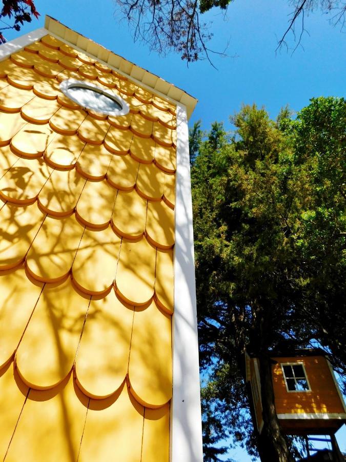 Apartment La Casa De Aves - Architect's House/ Amazing View & Garden San Cristobal de las Casas
