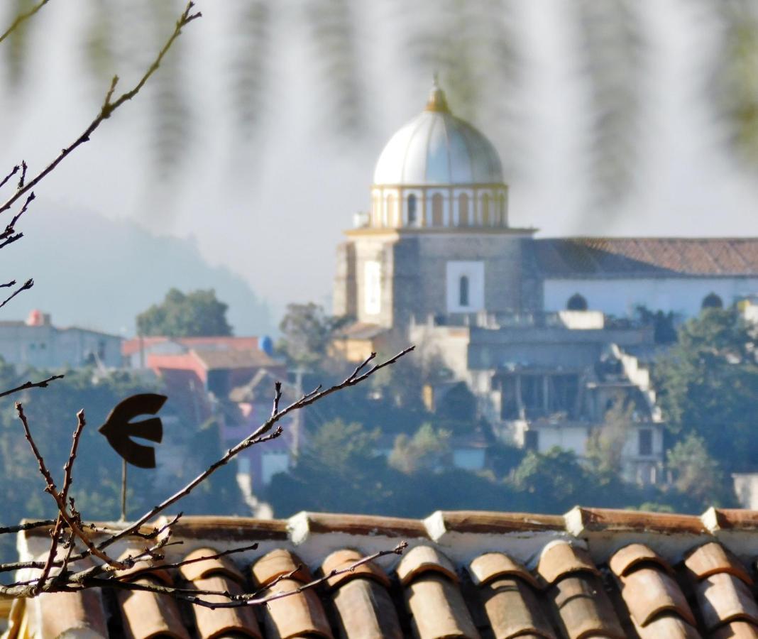 Apartment La Casa De Aves - Architect's House/ Amazing View & Garden