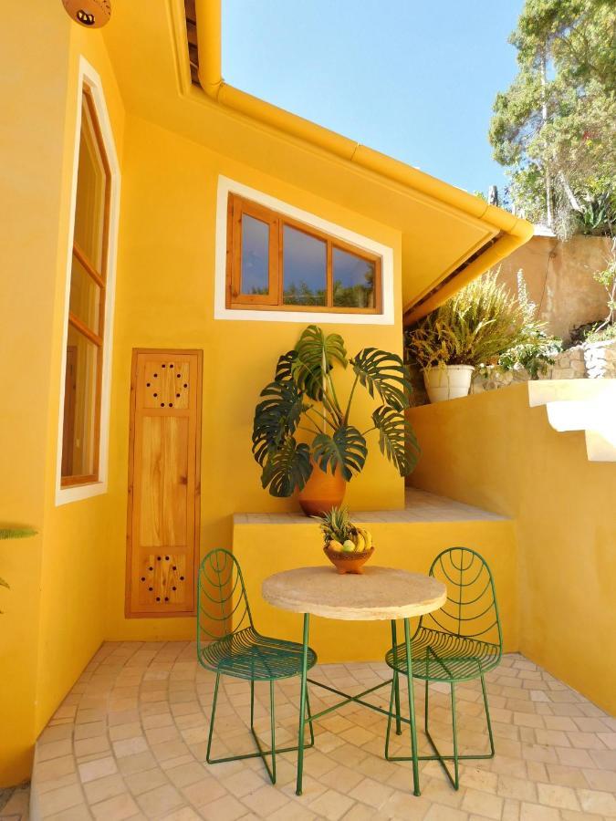 La Casa De Aves - Architect's House/ Amazing View & Garden