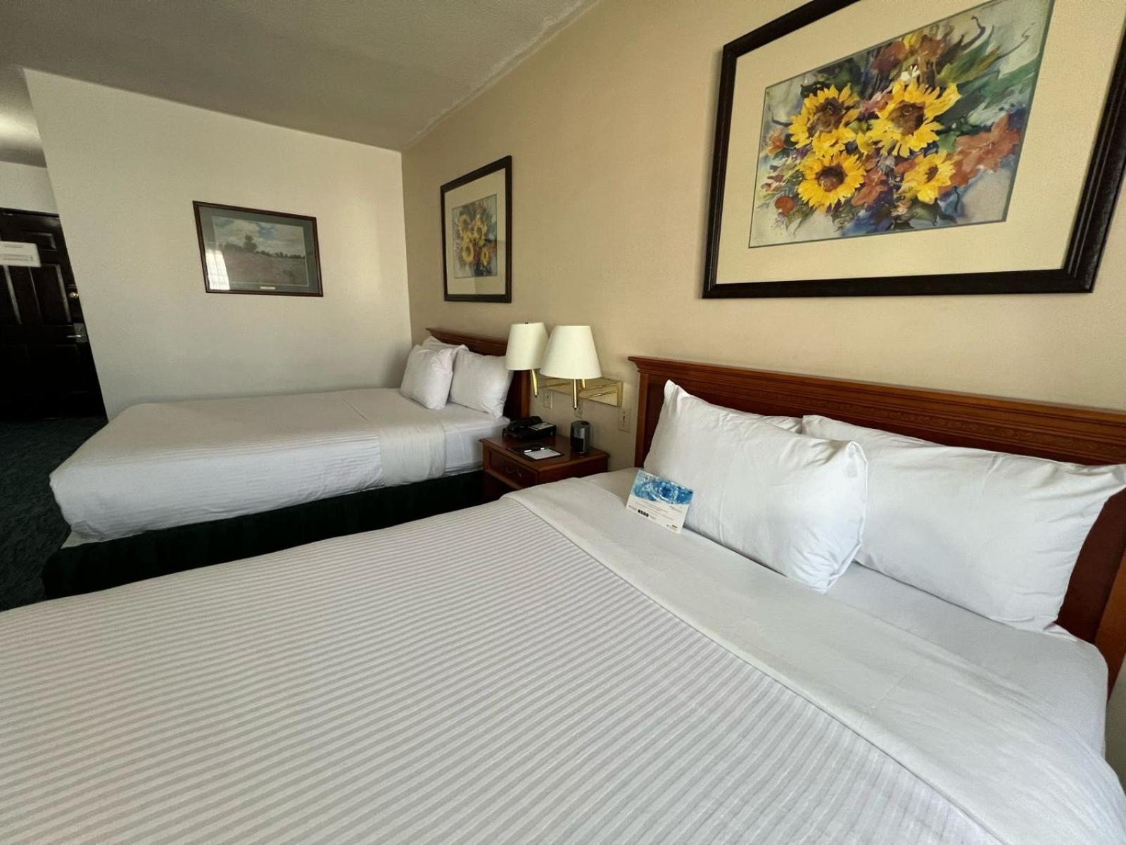 Quality & Eurotel Hotel
