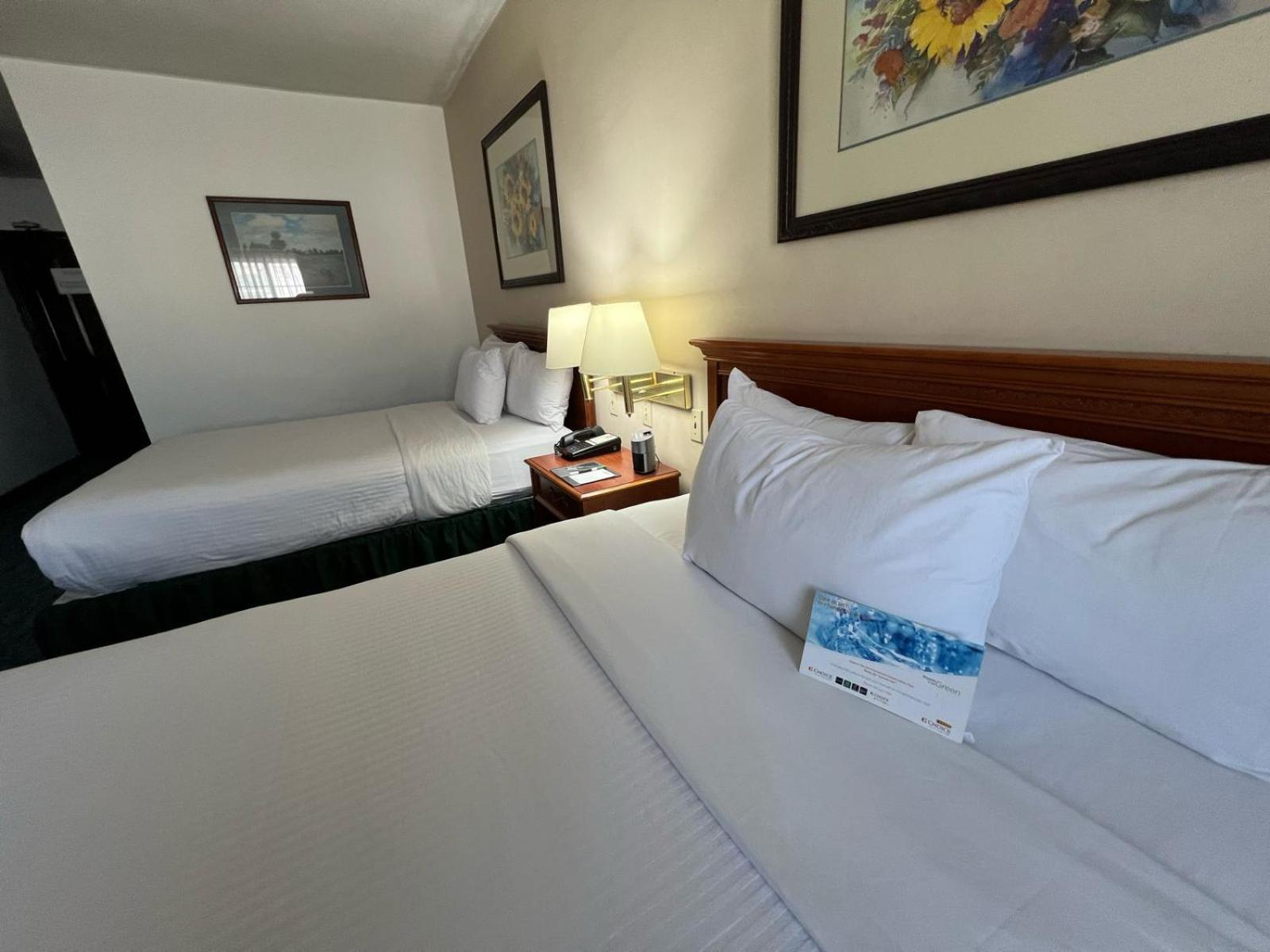 Quality & Eurotel Hotel 4*