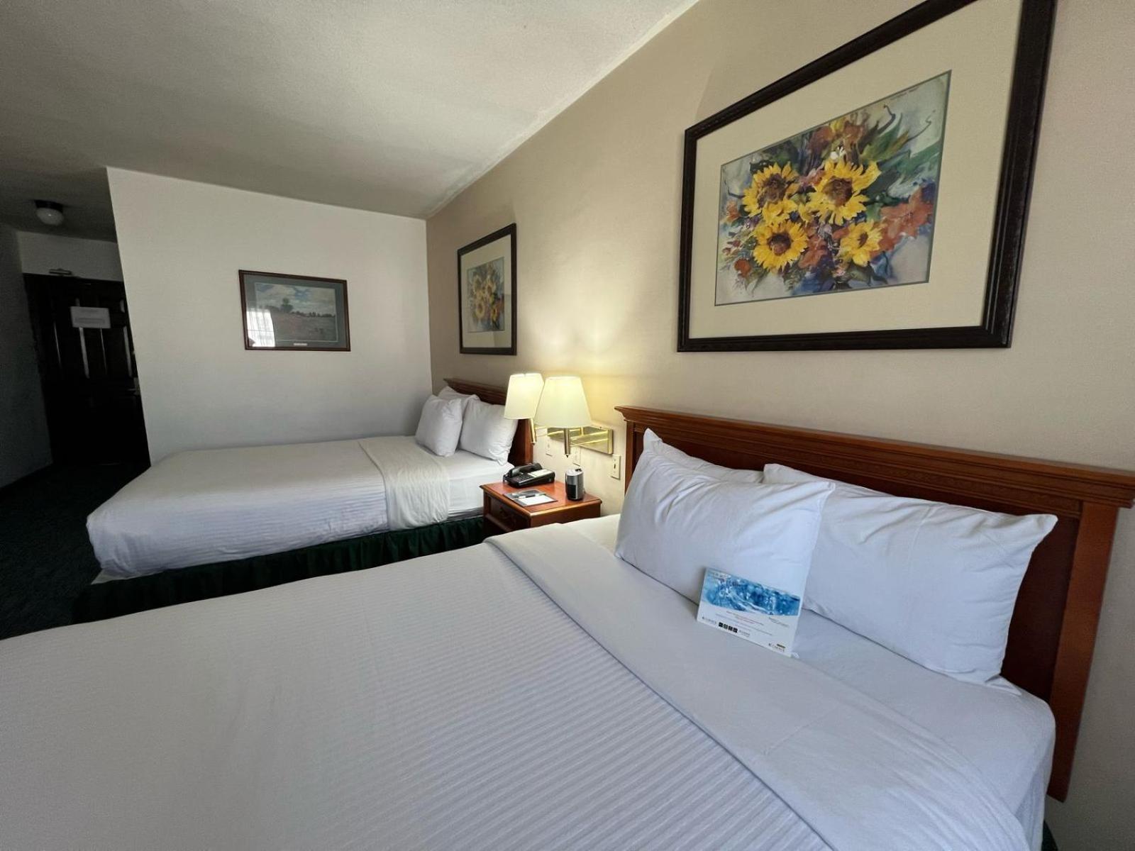 Quality & Eurotel Hotel