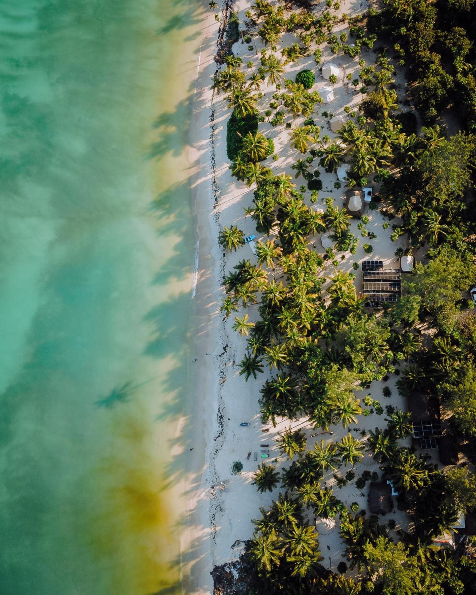 Cielo Y Selva Punta Allen