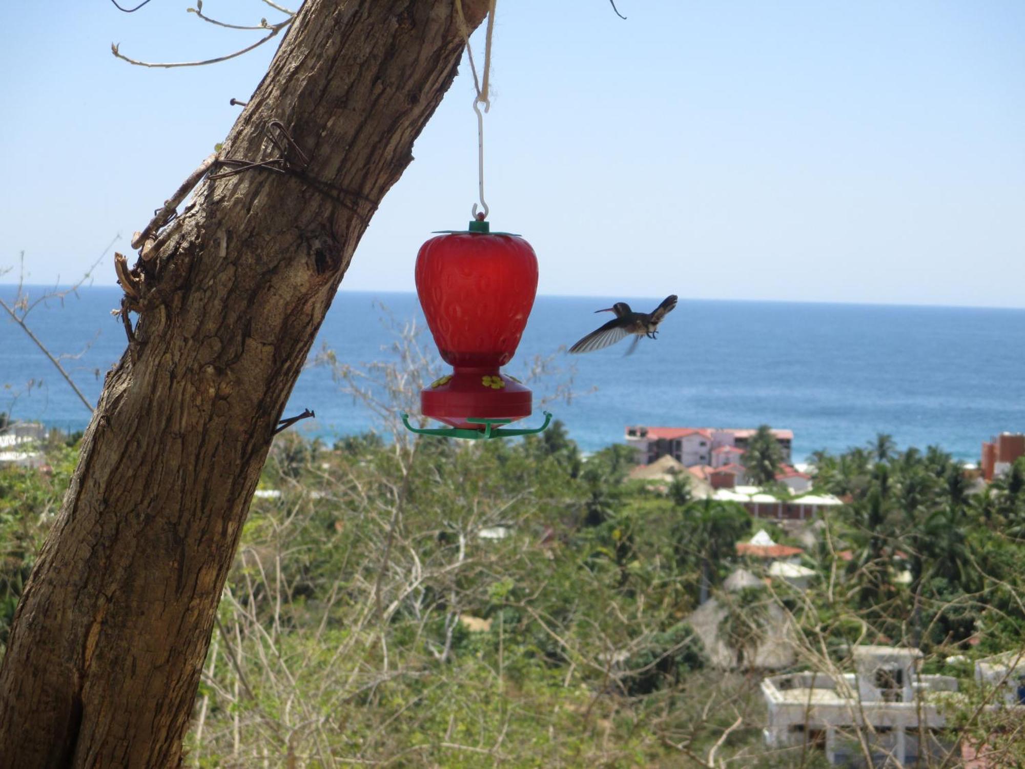 Casa Biulu Bed & Breakfast