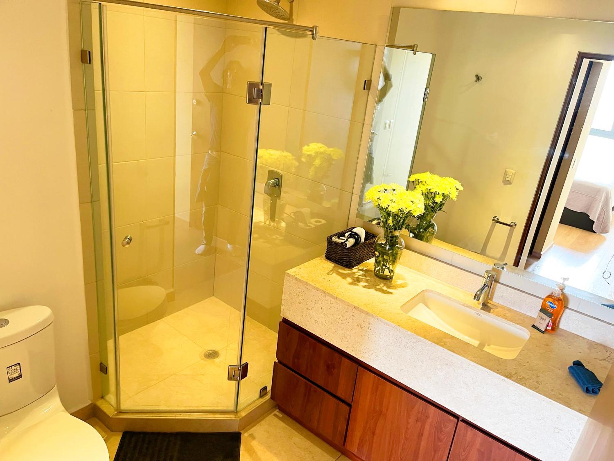Begrand Alto Polanco Pool Gym Jacuzzi & Apartment *