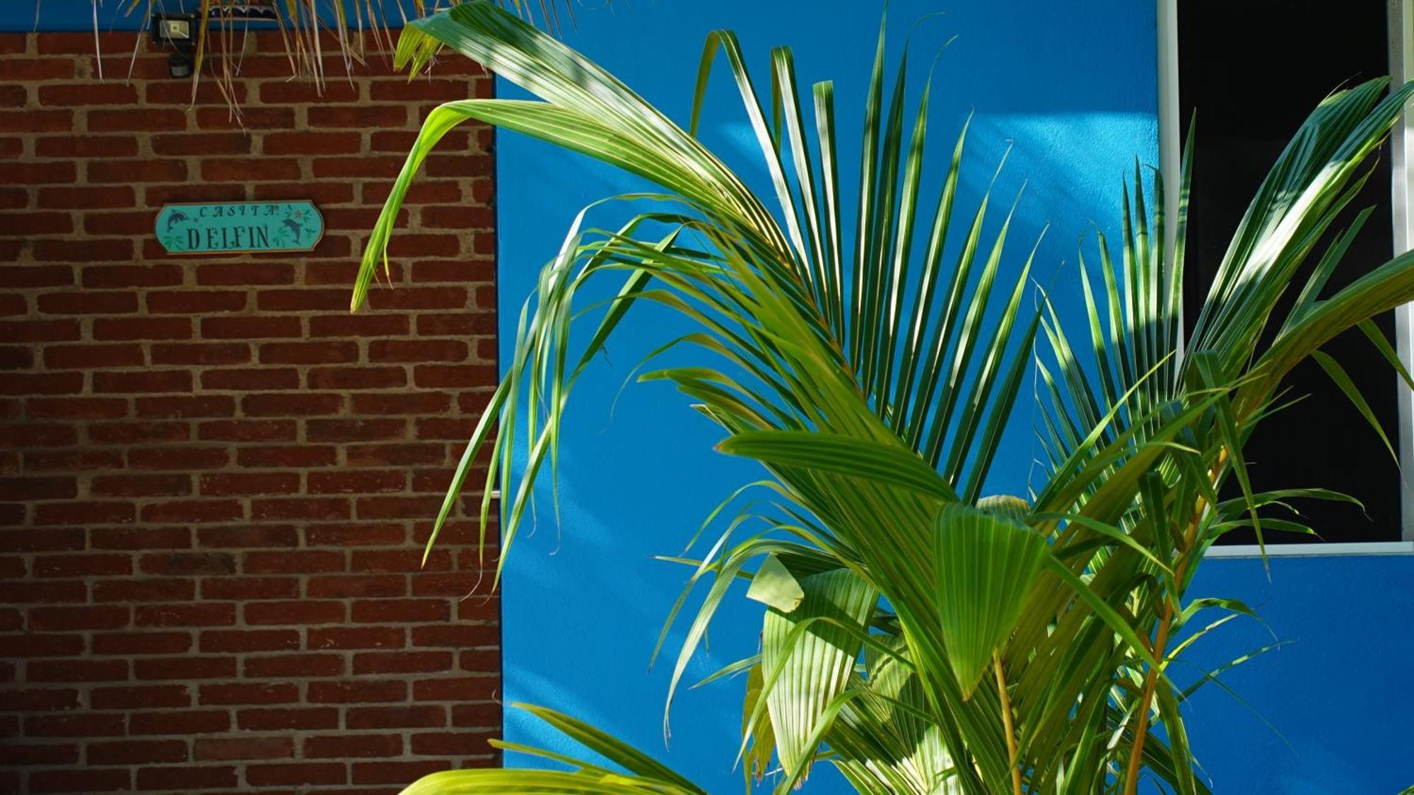 Ocean Oasis - Adult Only, Four Casitas Boutique 3*