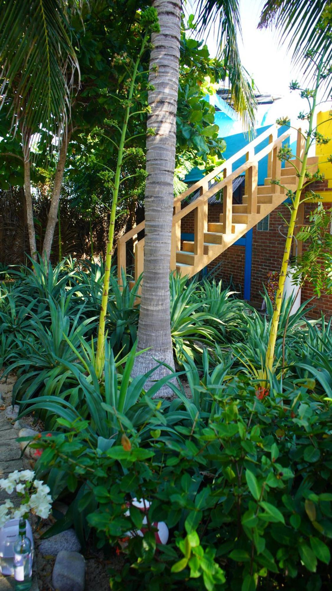 Hotel Ocean Oasis - Adult Only, Four Casitas Boutique
