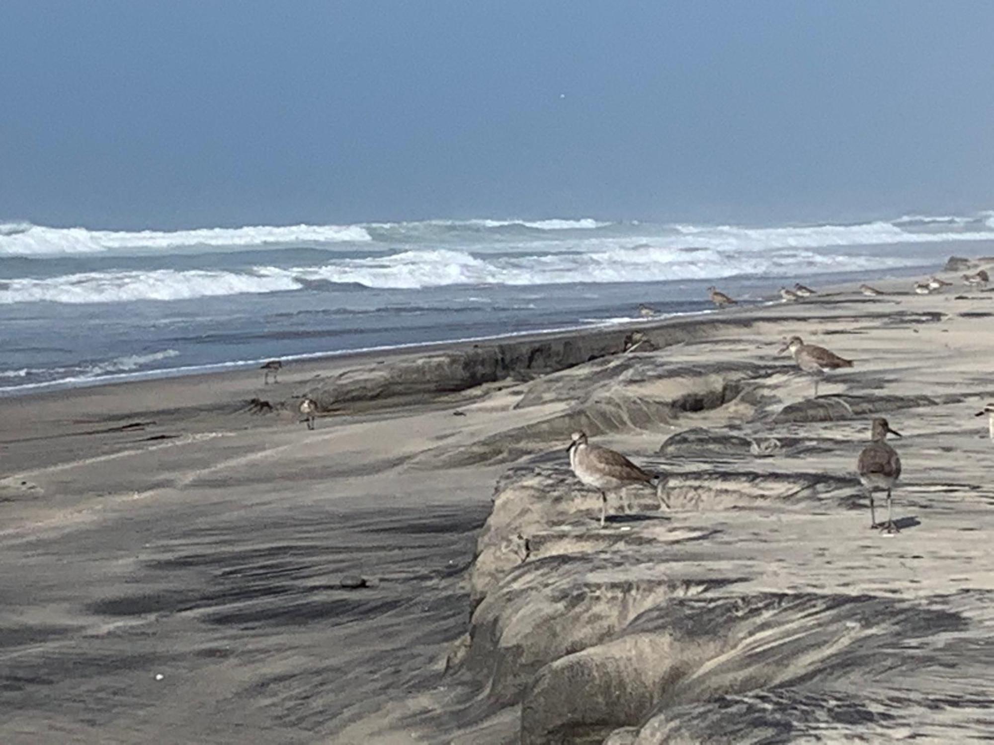 Holiday home House Sleeps 14 & Steps To Sandy Mins To Downtown Rosarito
