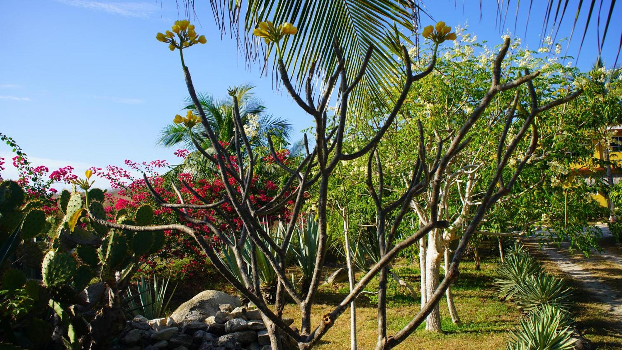 Hotel Ocean Oasis - Adult Only, Four Casitas Boutique Agua Blanca