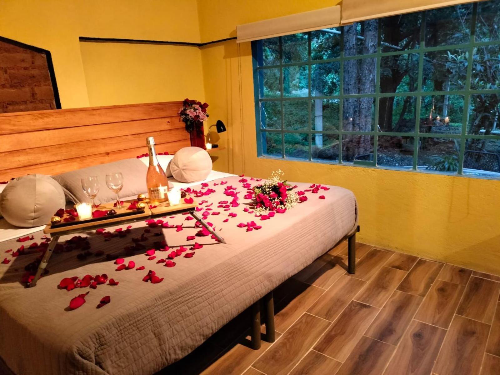Casa En El Bosque, Relajate Y Disfruta La Naturaleza Holiday home Tepoztlan