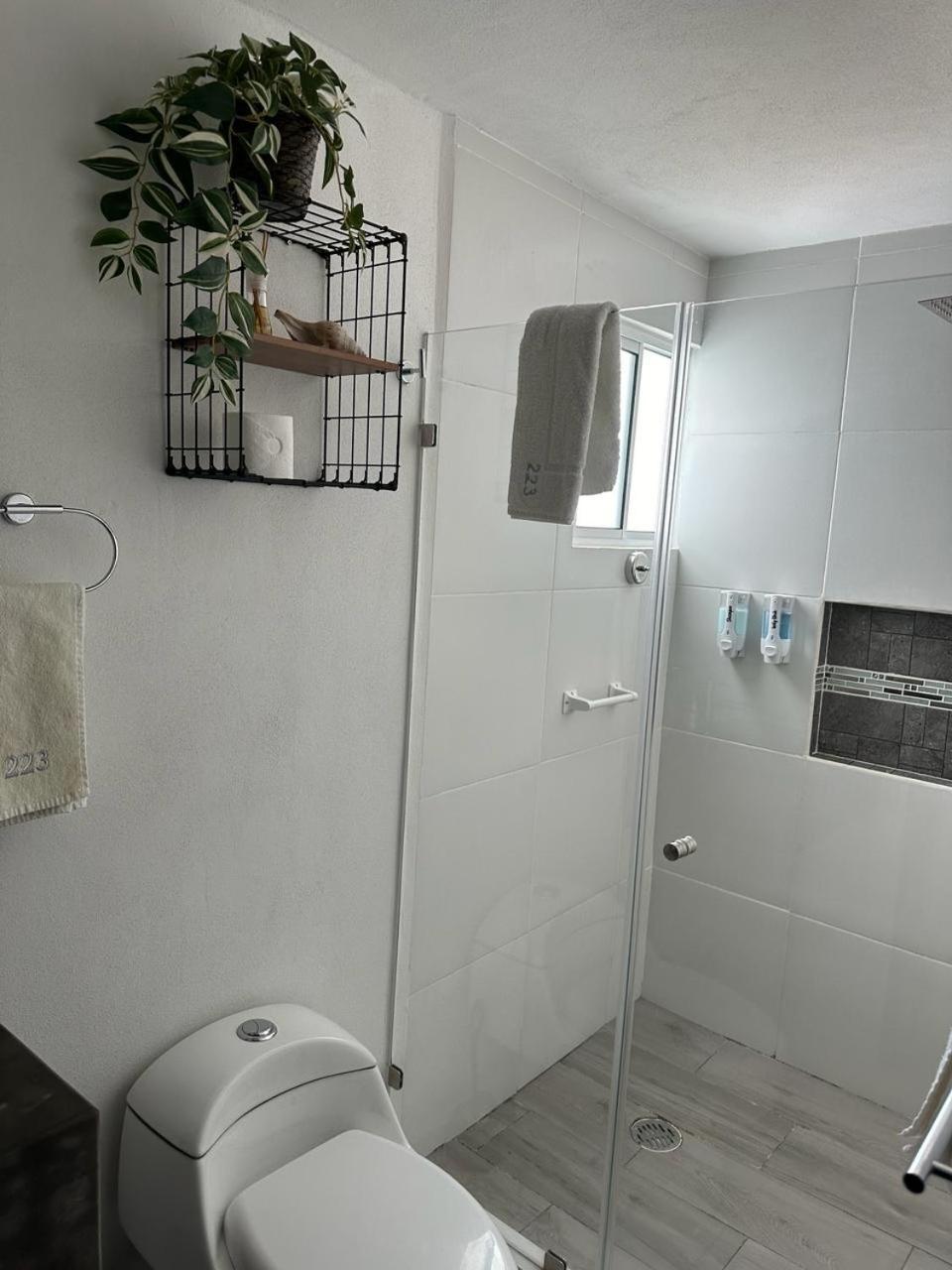 Apartment Malaga 223