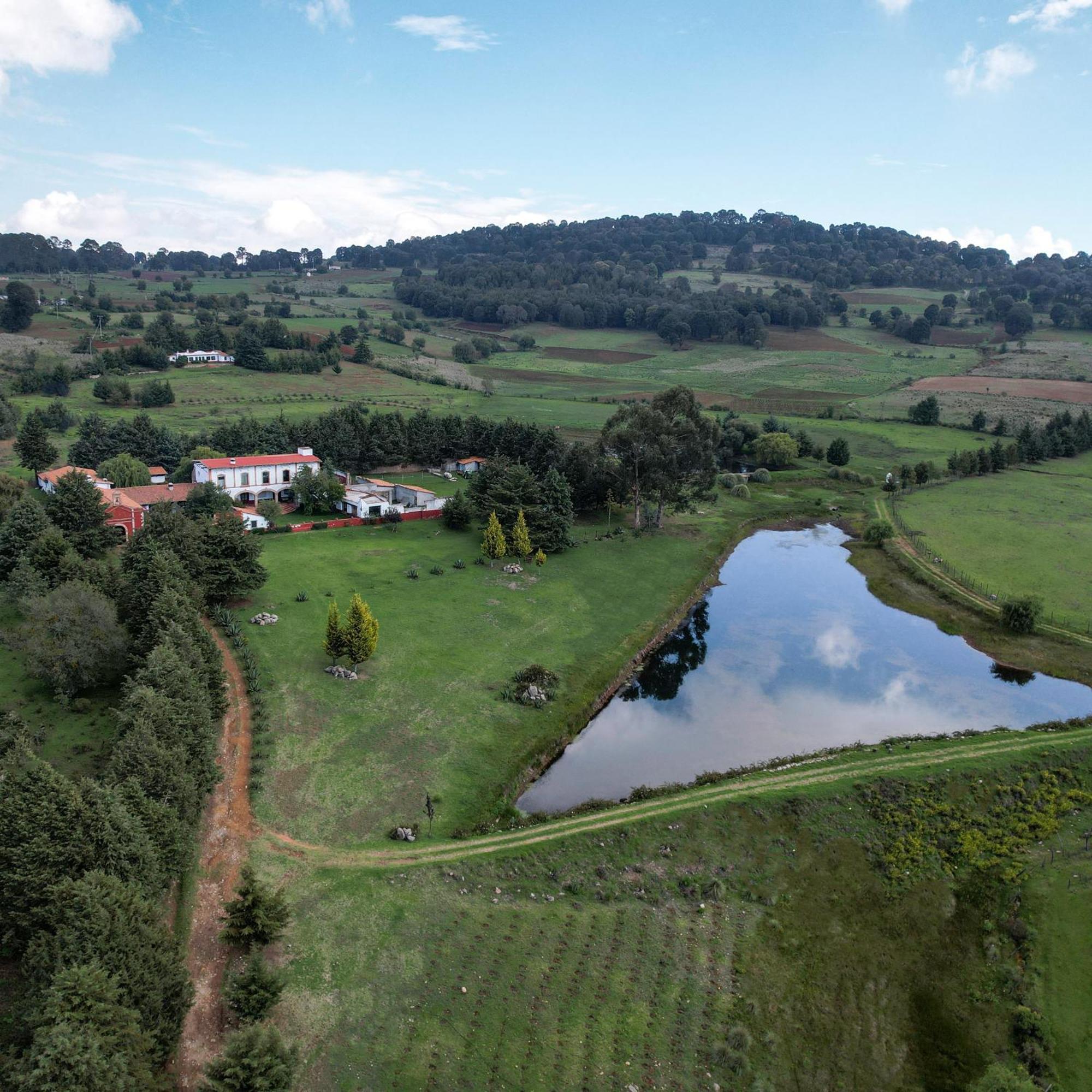 Hotel Hacienda De La Luz