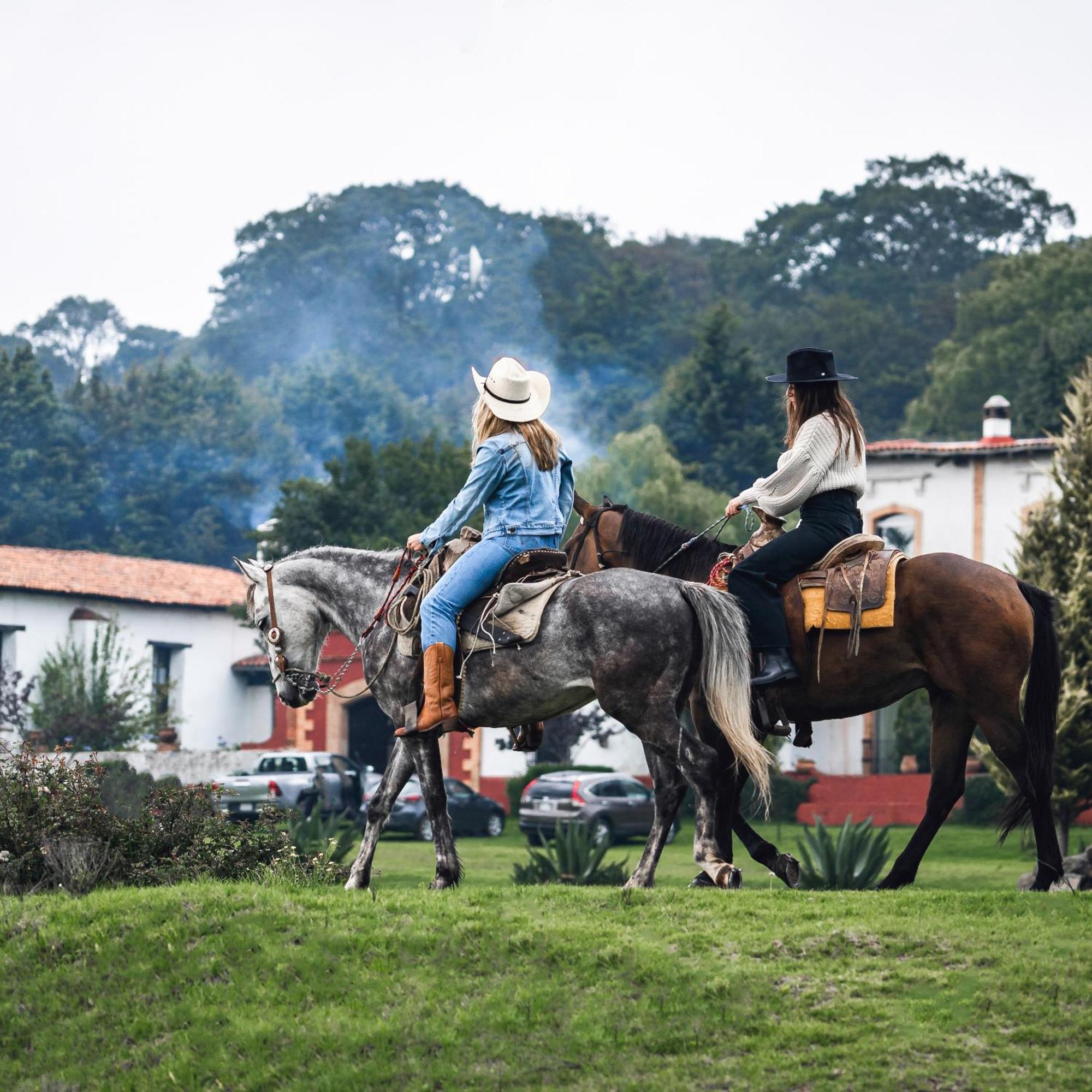 Hacienda De La Luz El Oro de Hidalgo