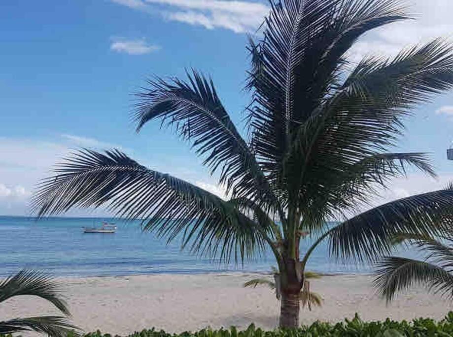 Apartment Luxury Beachfront Amara