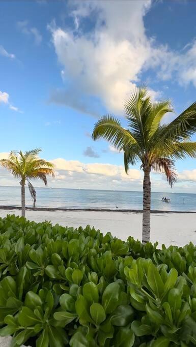 Luxury Beachfront Amara Apartment Cancun
