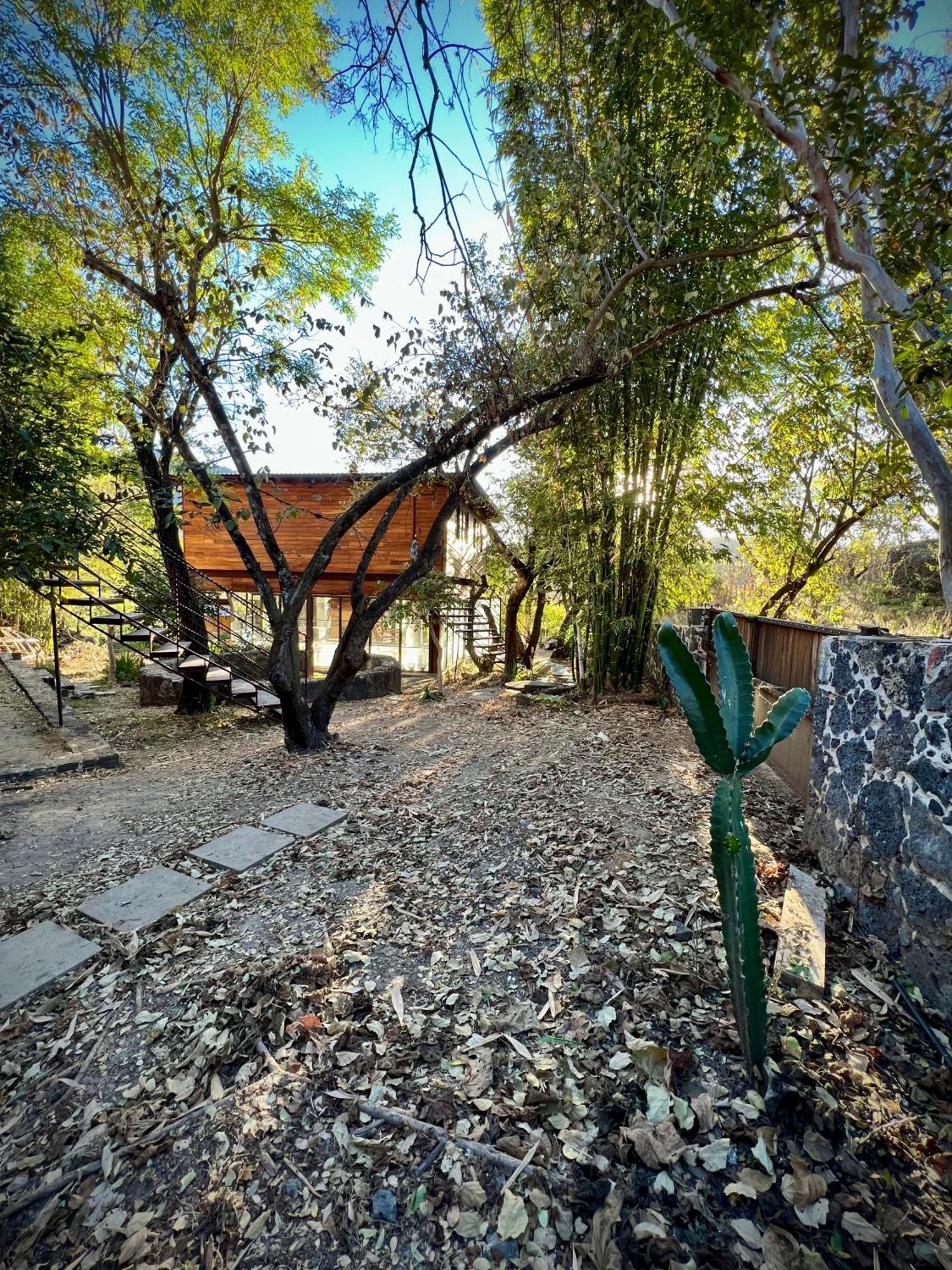 Country house Santuario Ave Fenix-cabanas Tepoztlan