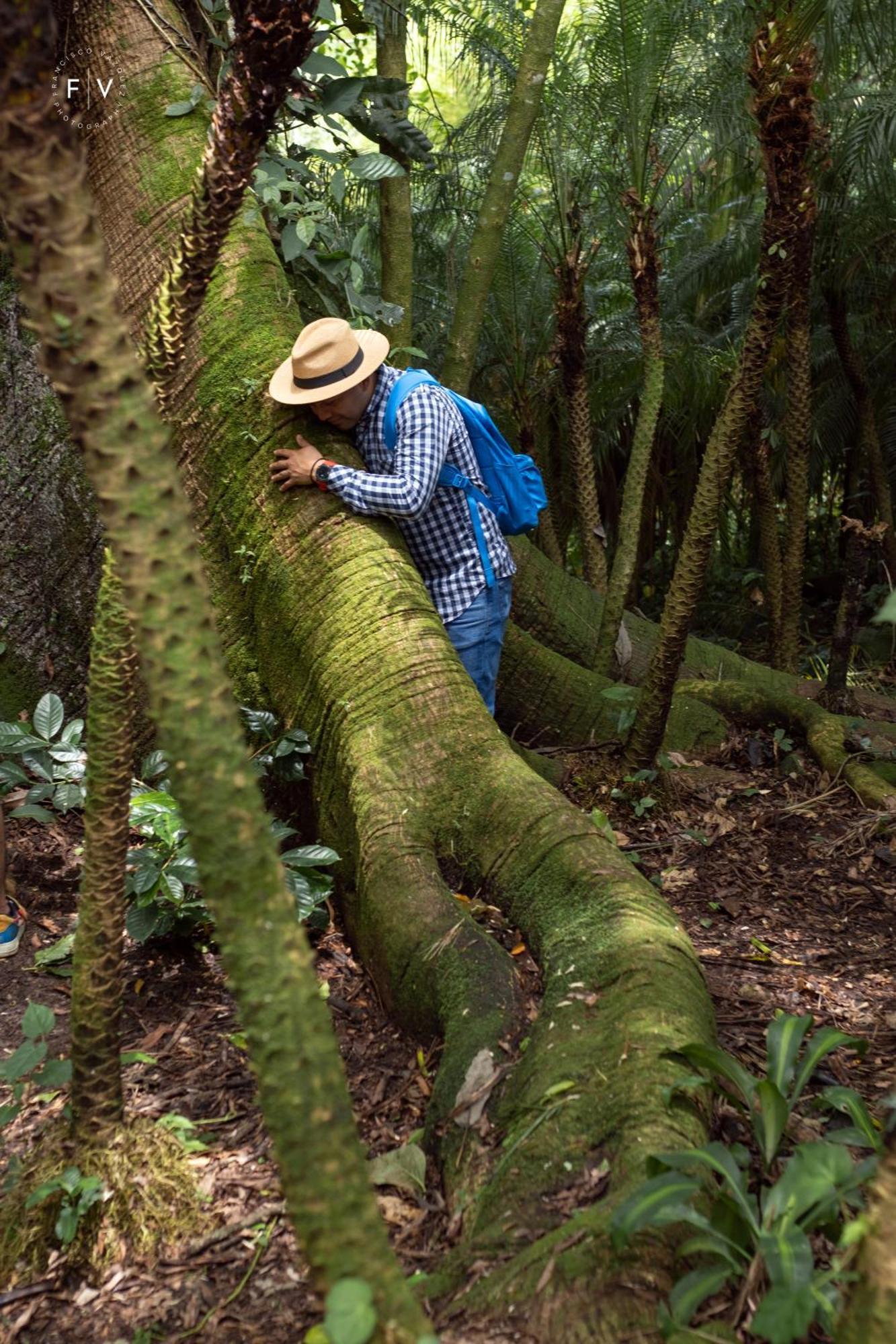 Hotel Argovia Ecolodge Tapachula