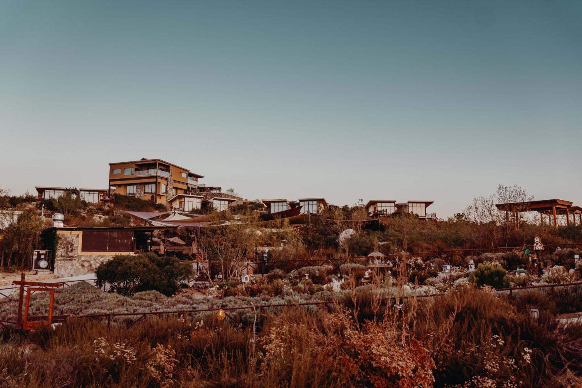 Hotel Contemplacion & Valle de Guadalupe