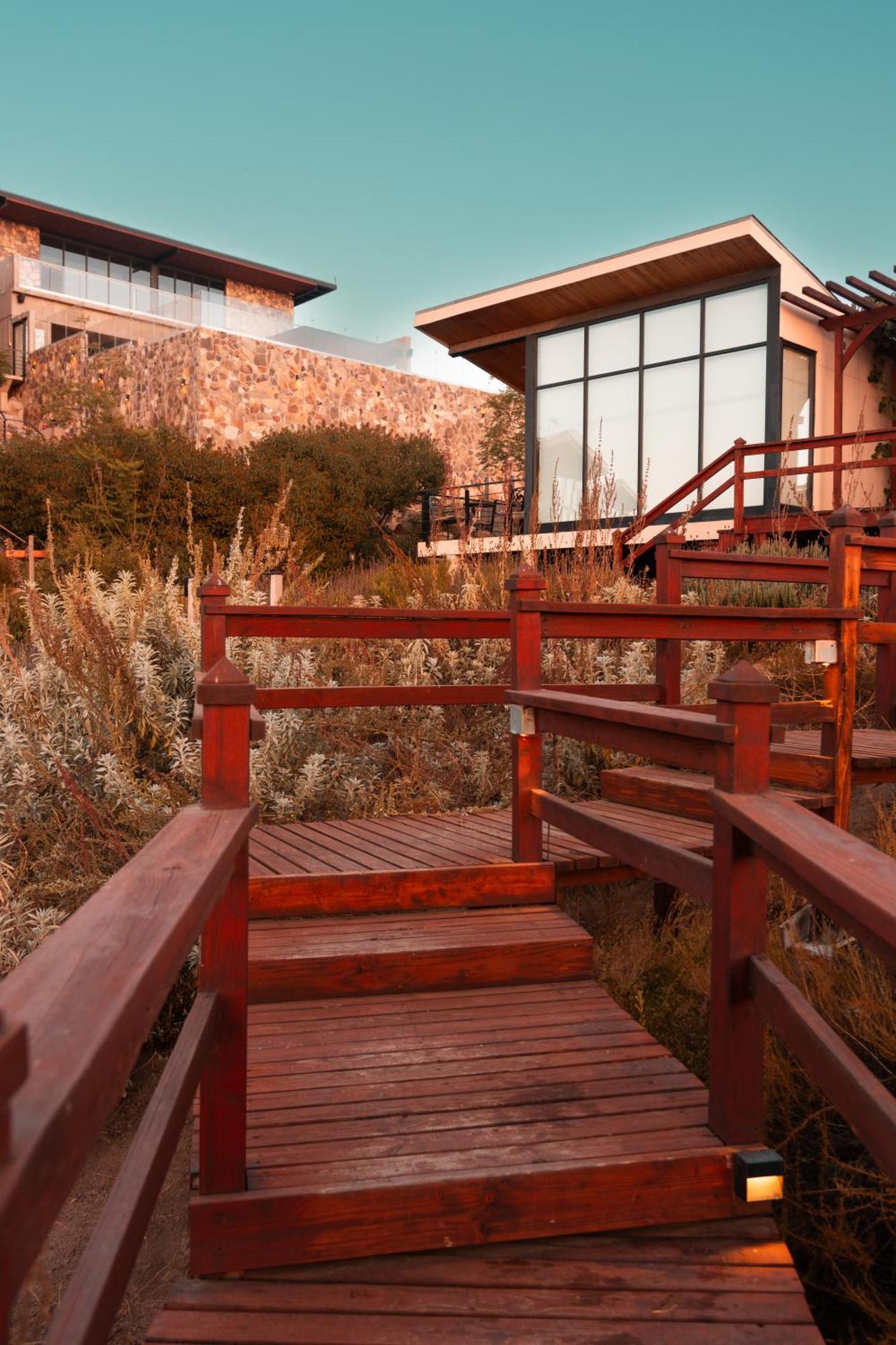 Contemplacion & 5* Valle de Guadalupe