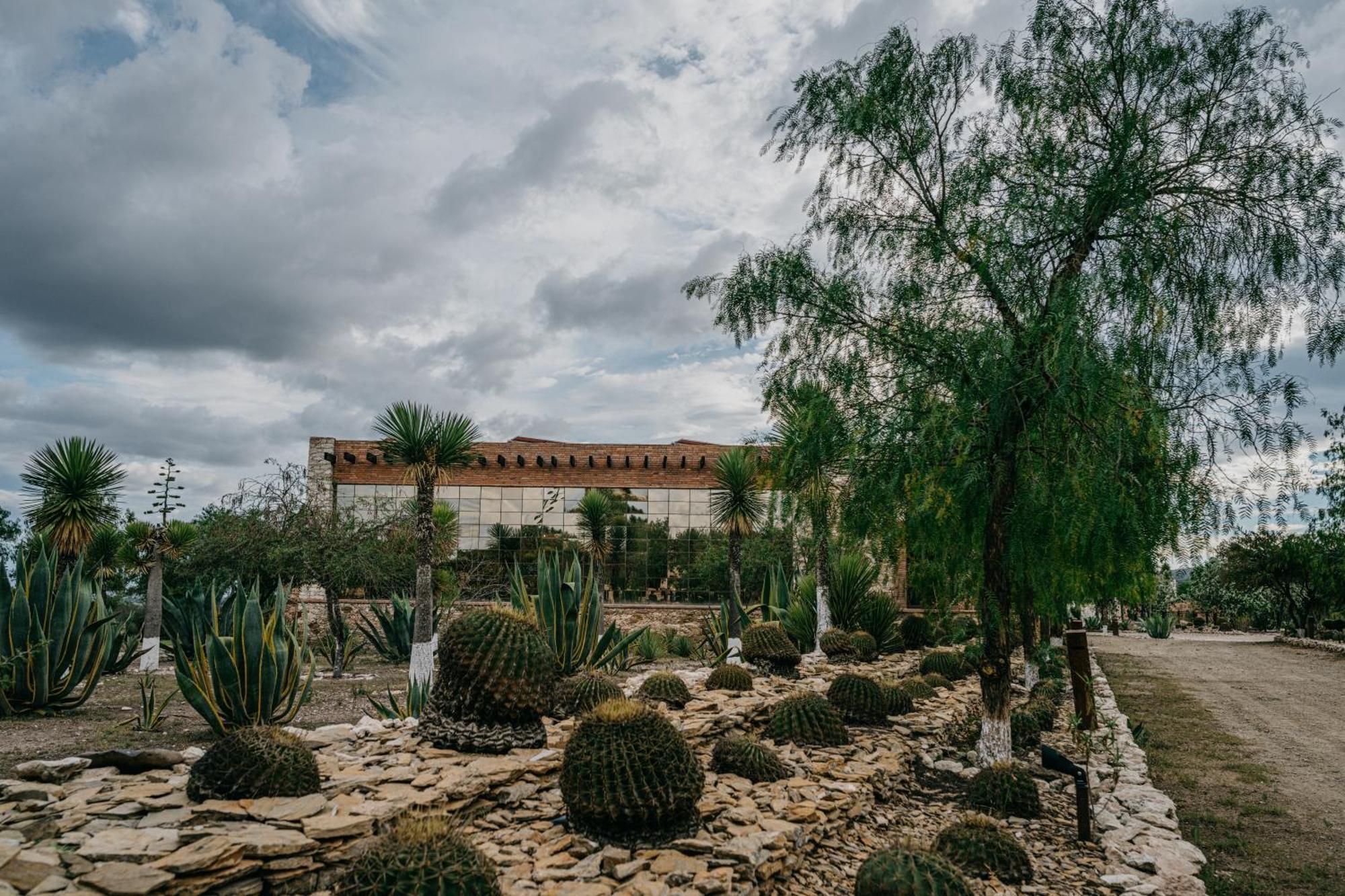 Mineral Del Cielo * Pozos (Guanajuato)