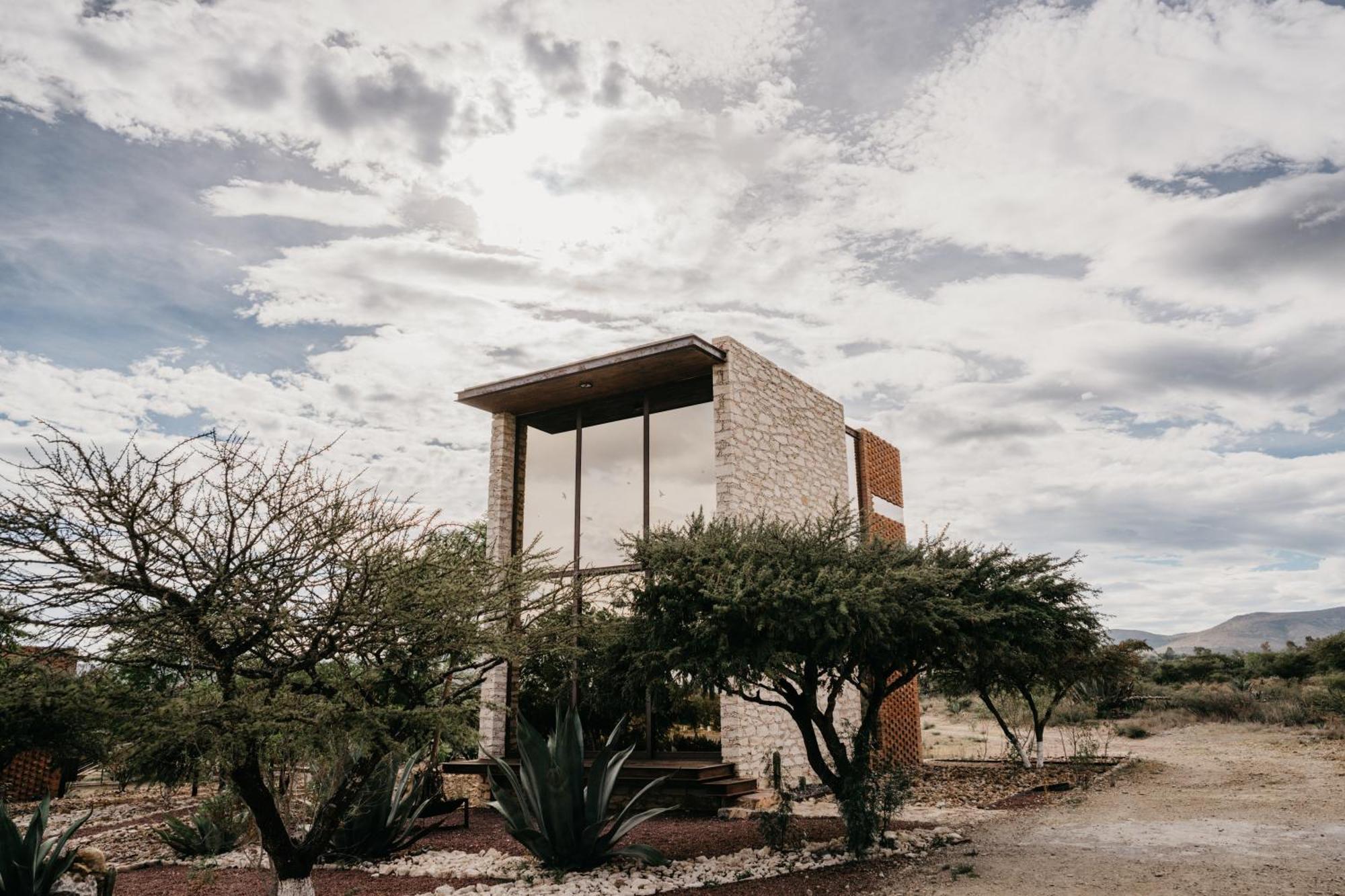 Mineral Del Cielo
