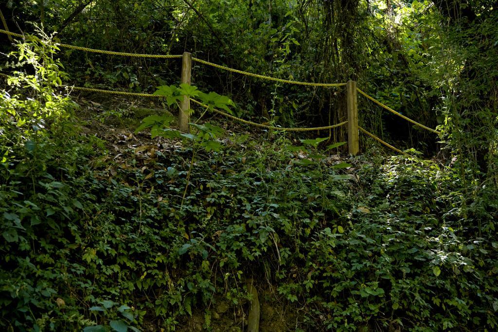 Rancho San Cayetano Zitacuaro