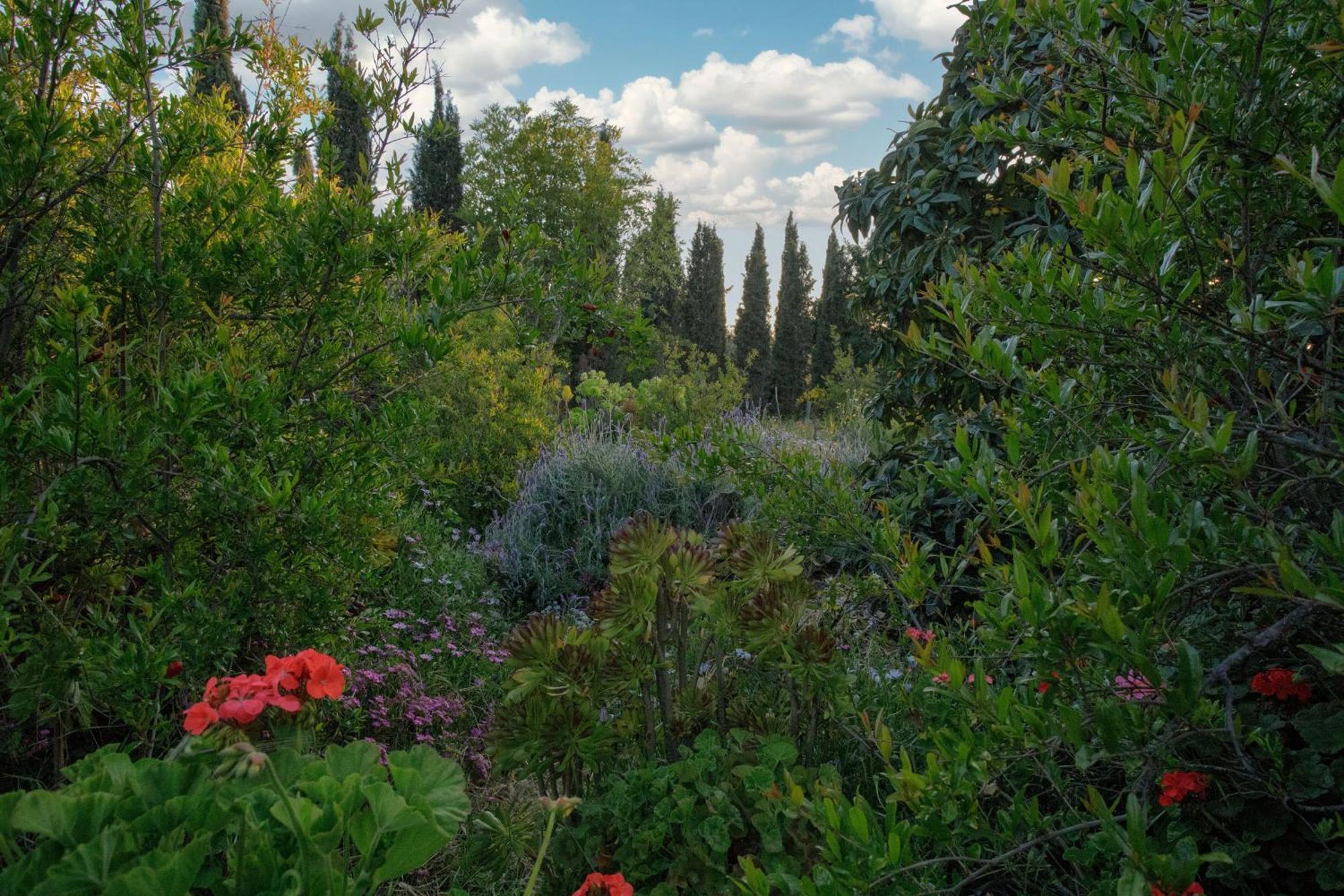 Quinta Maria En La Ruta Del Vino Bed & Breakfast