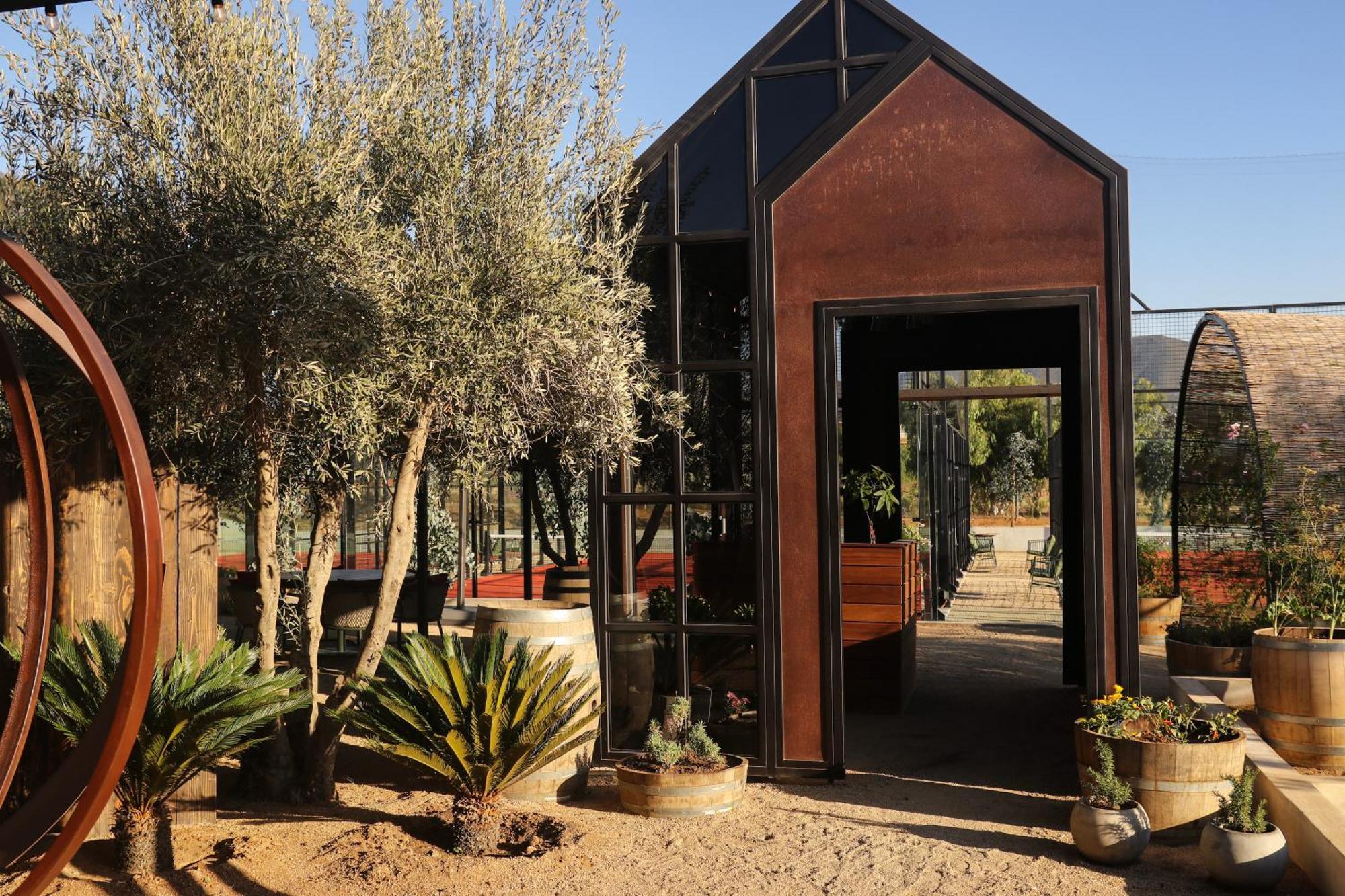 Mya Valle de Guadalupe