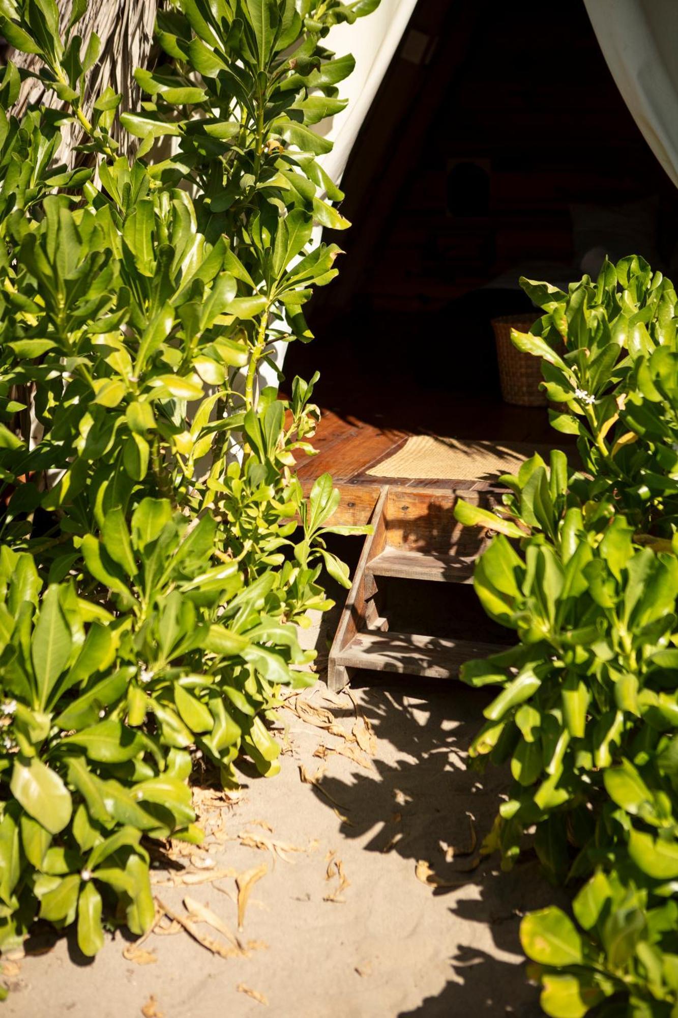 Pora Chacahua Hostel Guayabas