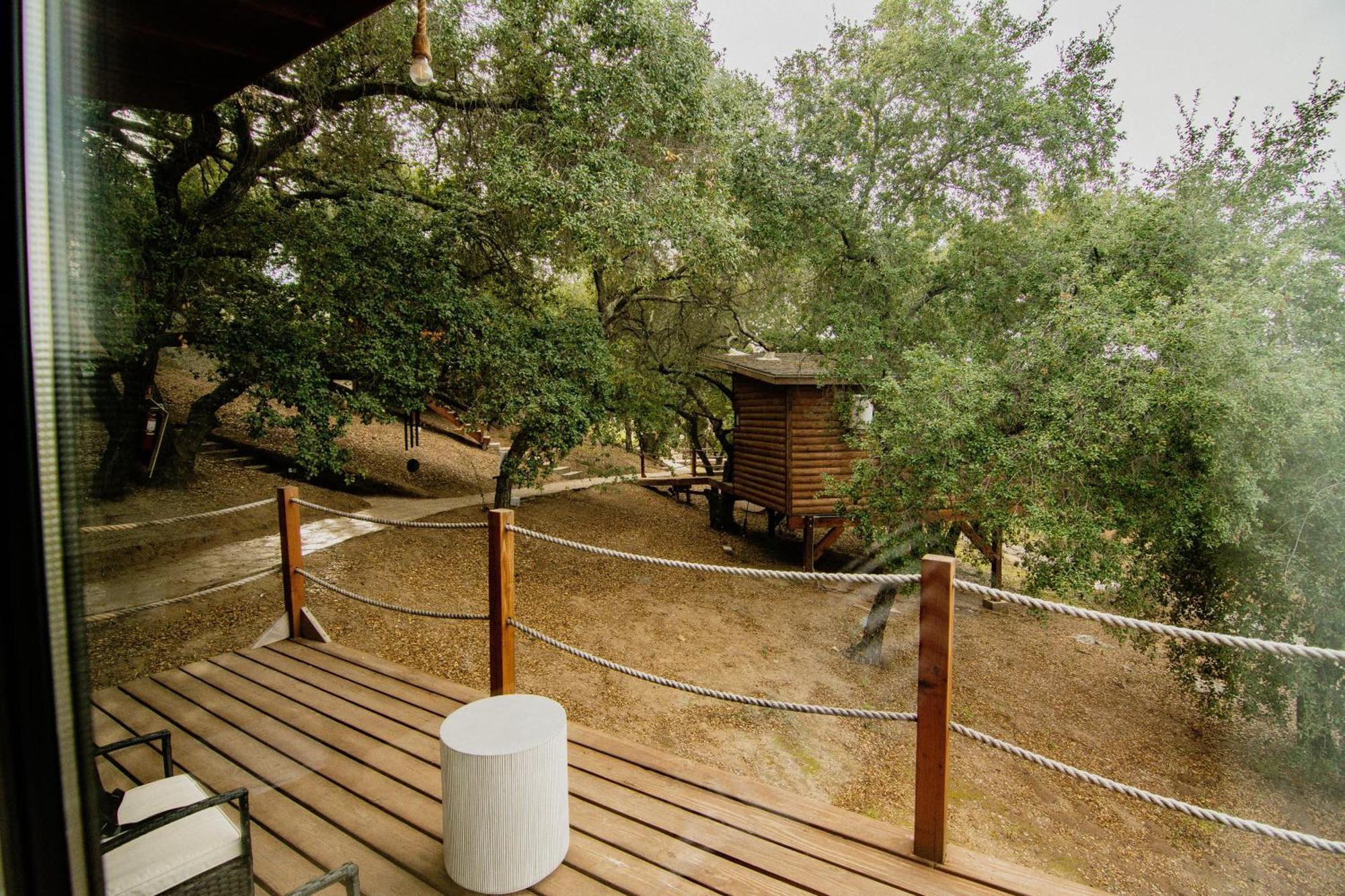 Boskenvid Boutique, Skypool 5* Valle de Guadalupe