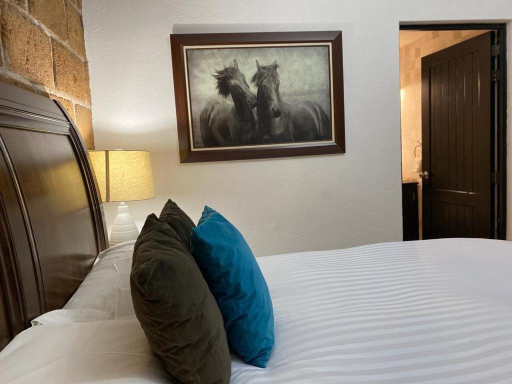 Cabanas, Suites Y Habitaciones Rancho San Jorge