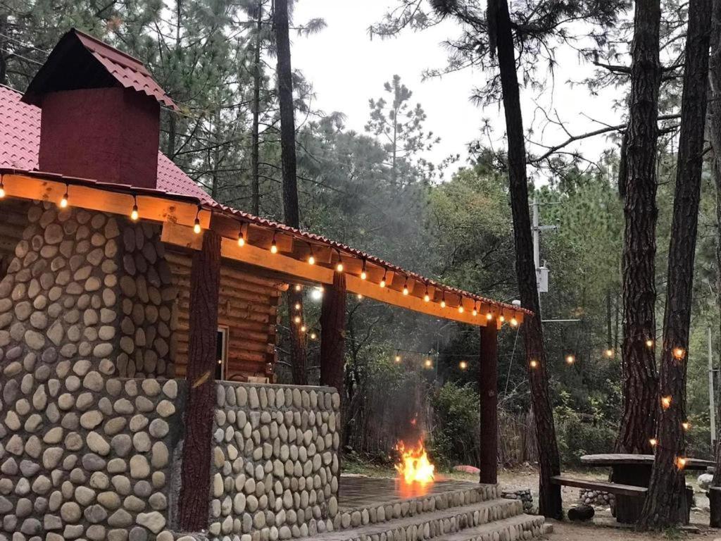 El De Pinos
