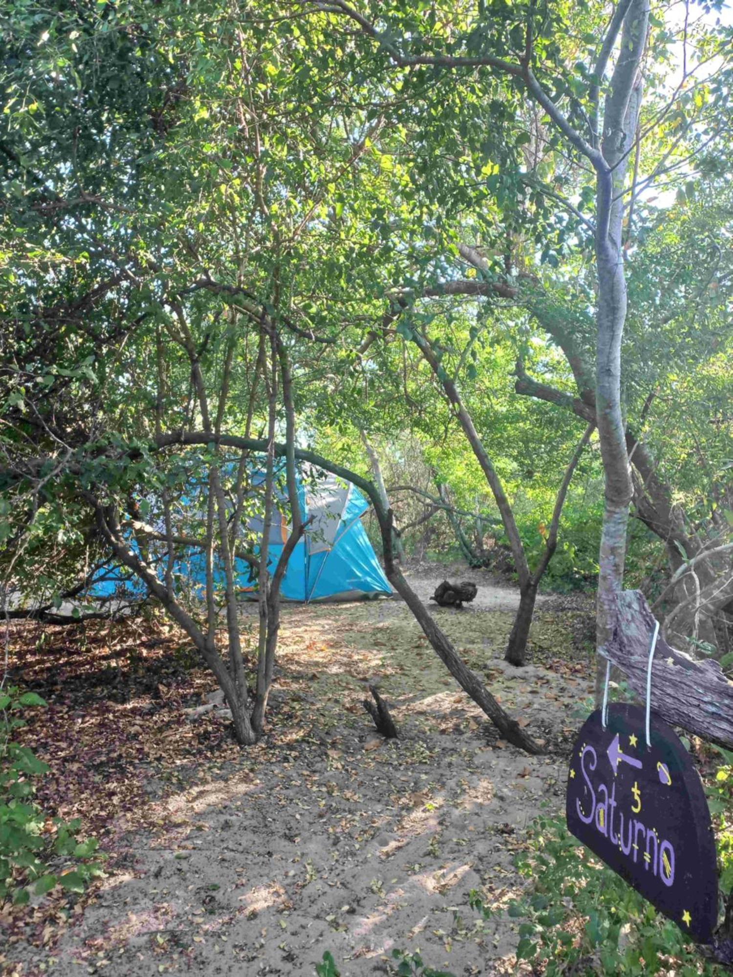 Playa Cosmica Chacahua - Nature Retreat & Wild Tribe La Sabrosa