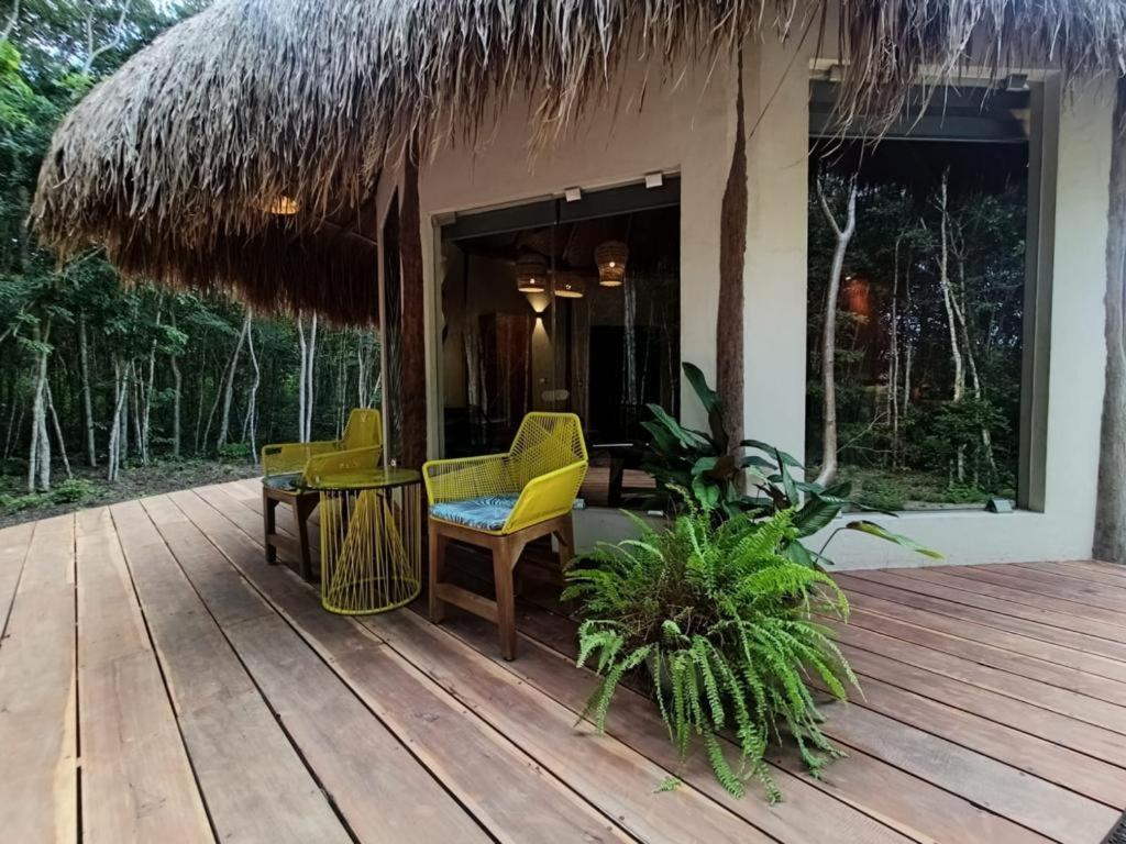 Casa Kaan Calakmul Xpujil