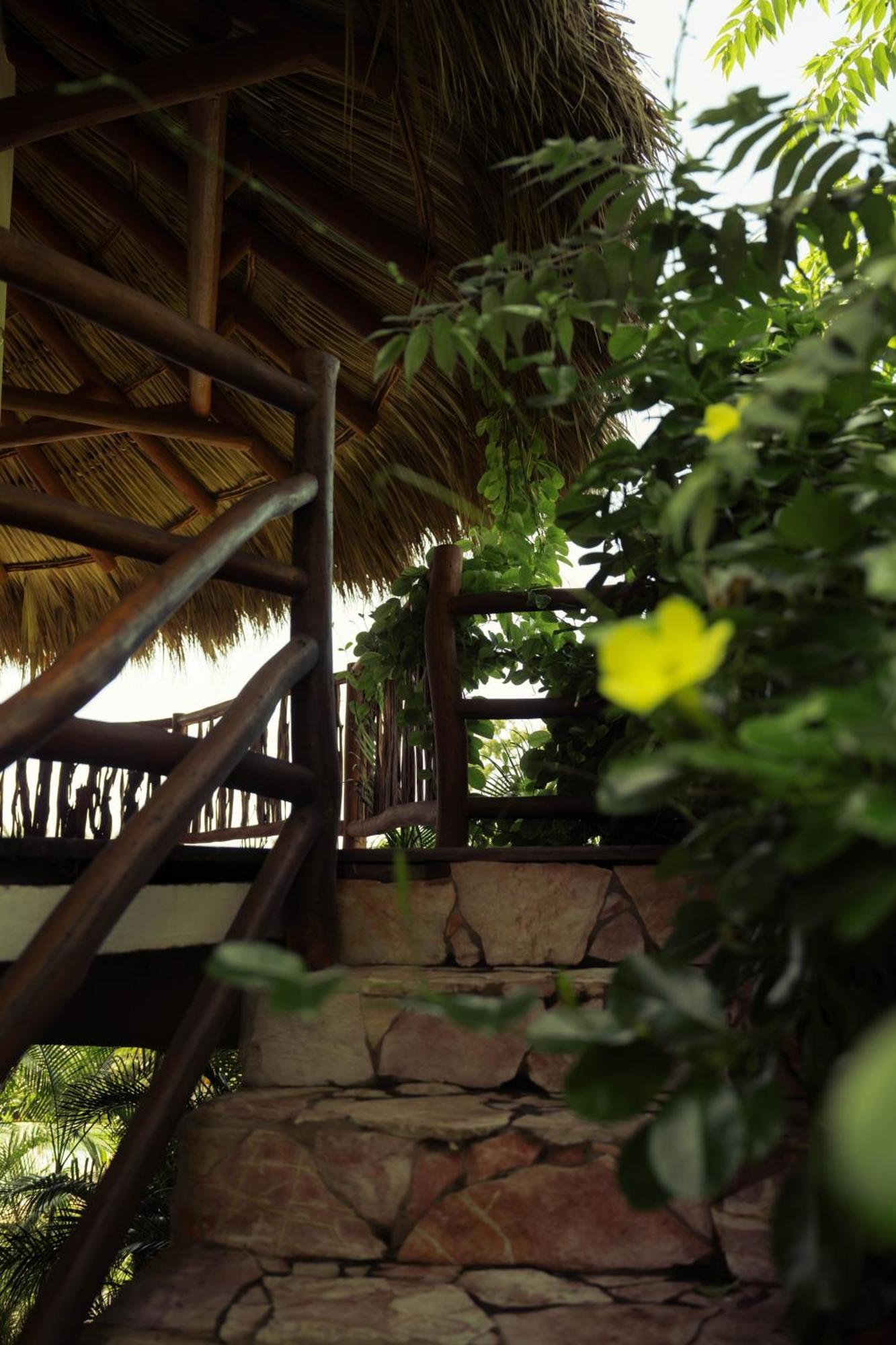 Oasis, Troncones