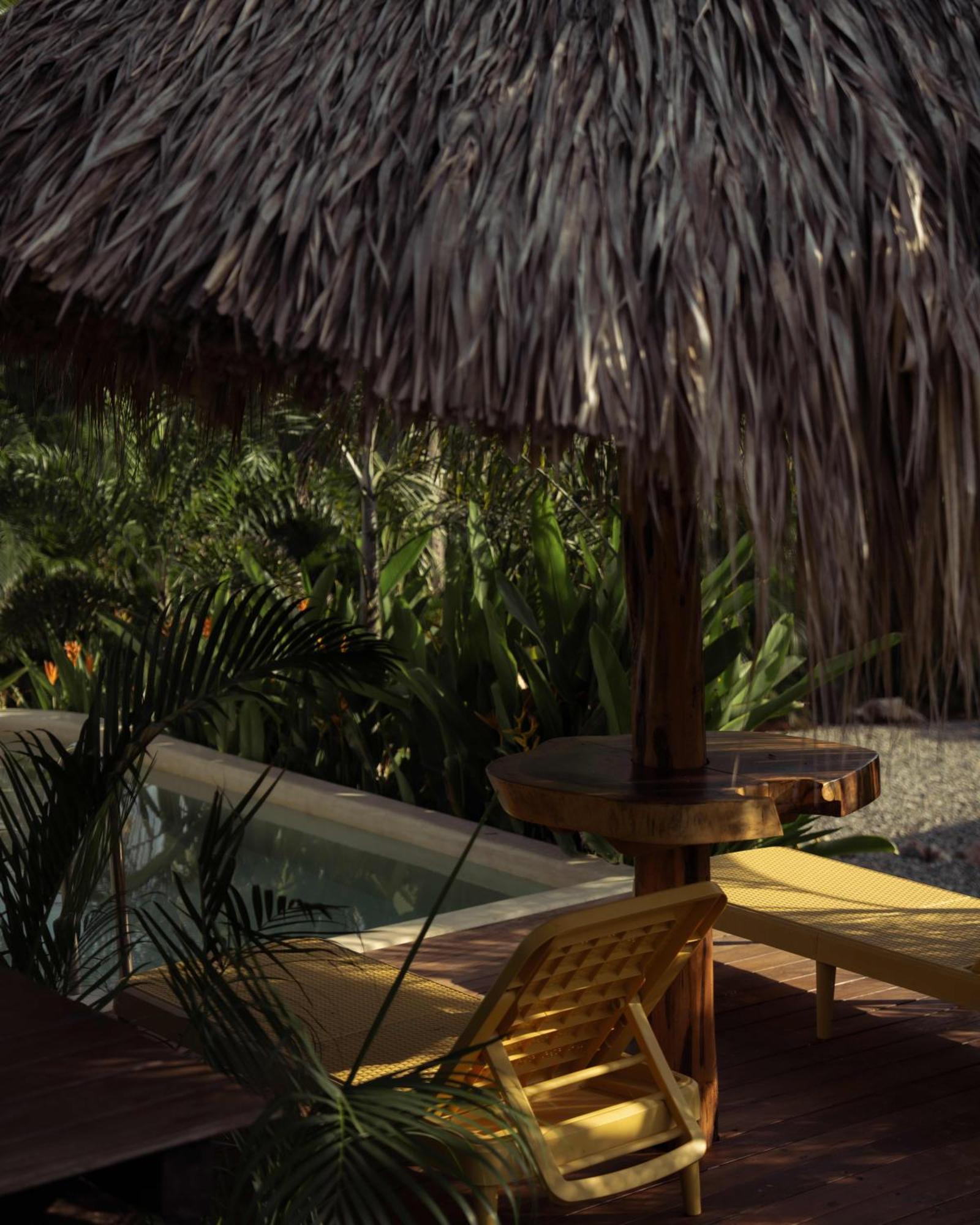 Oasis, Apartment *