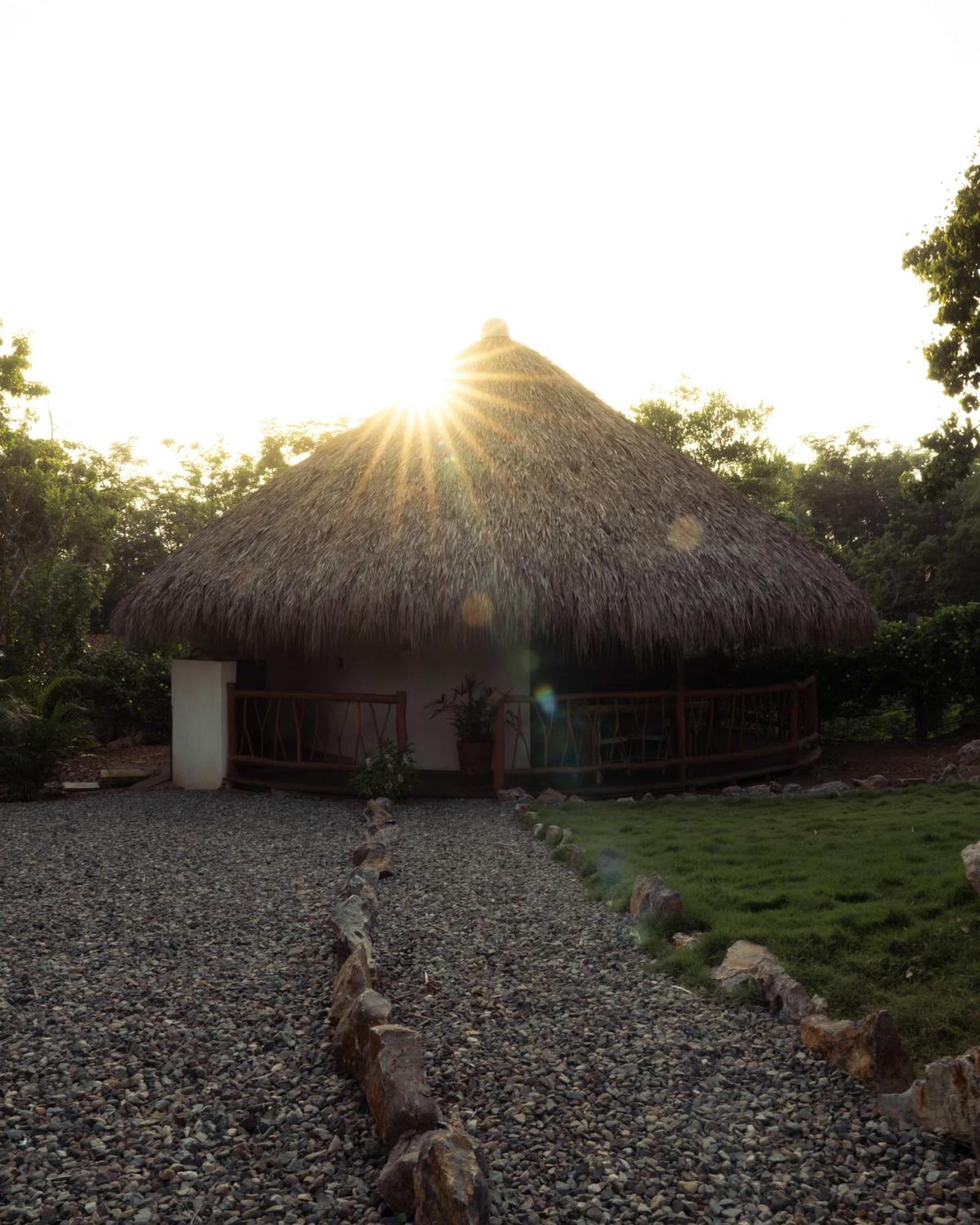 Oasis, * Troncones