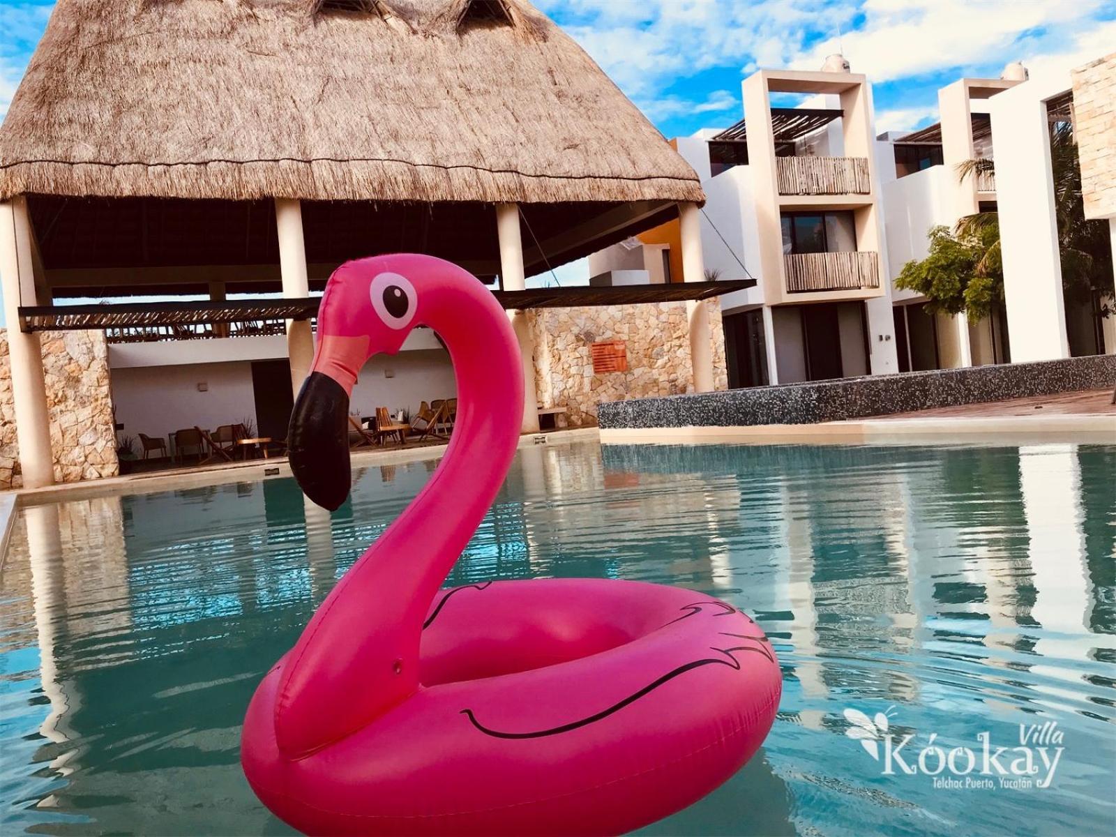 Chic Mexican Style Kookay, Beach Club Pool *
