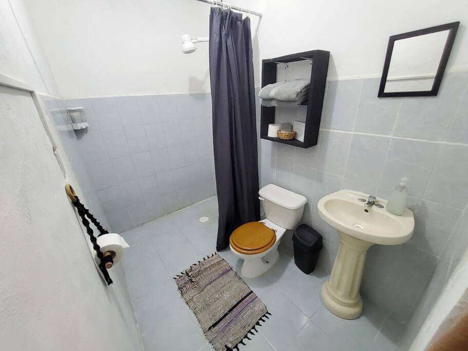 Jungla Apartment Bacalar
