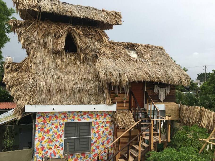 Jungla * Bacalar