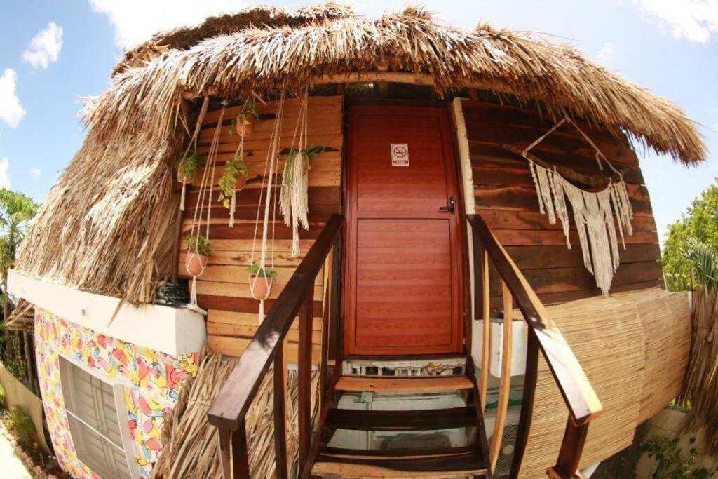 Jungla Bacalar
