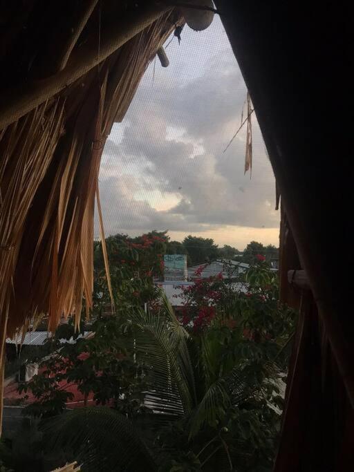 Apartment Jungla